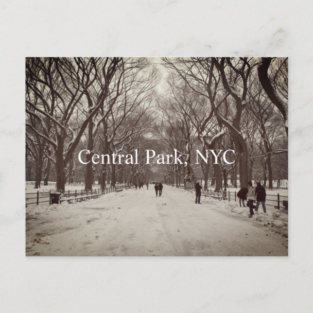Carte postale Central Park (Devant)