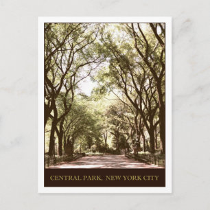 Carte Postale Central Park