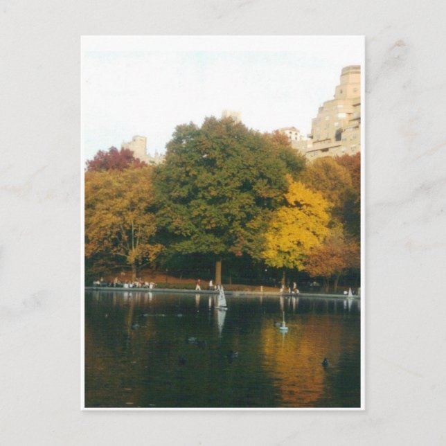 Carte Postale Central Park Boat Pond à l'automne (Devant)