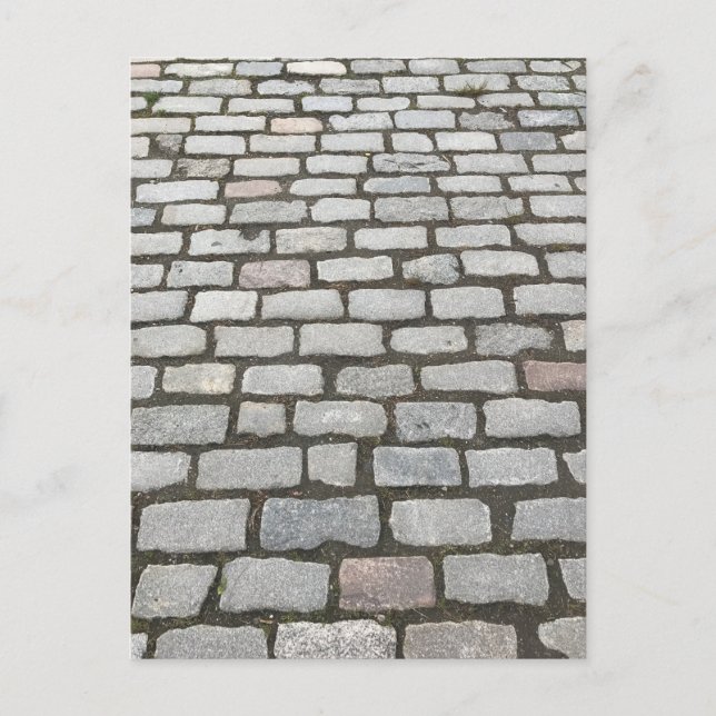 Carte Postale Central Park Cobblestones Stone Pathway NYC Photo (Devant)