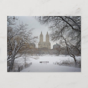 Carte Postale Central Park dans la neige, New York City