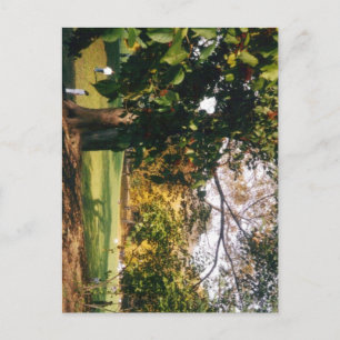 Carte Postale Central Park en automne