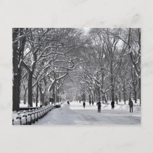 Carte Postale Central Park Mall B&W