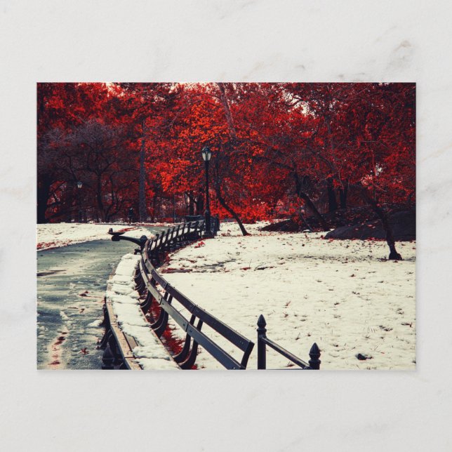 Carte Postale Central Park, New York (Devant)