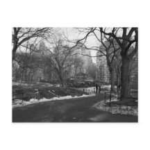 Central Park noir du blanc NY