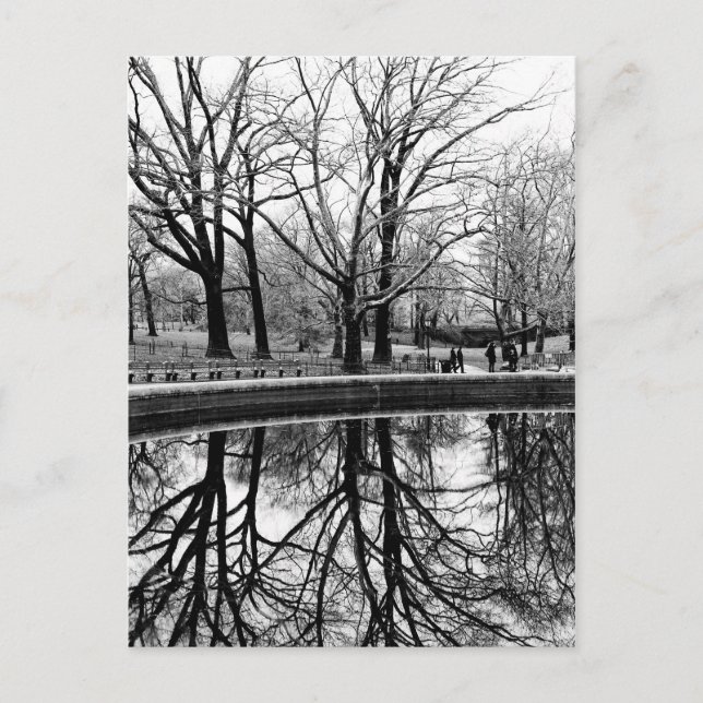 Carte Postale Central Park Photo Paysage noir et blanc (Devant)