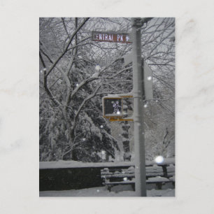 Carte Postale Central Park West New York City Snow NYC Blizzard