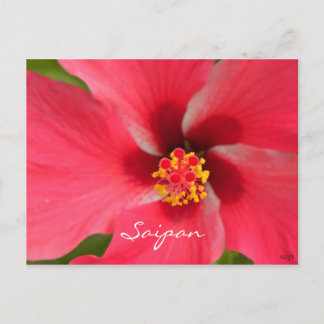 Carte Postale Centre Hibiscus rose