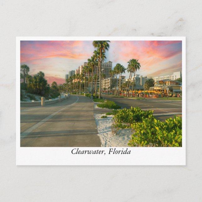 Carte Postale Centre-ville de Clearwater : Floride's Coastal Gem (Devant)
