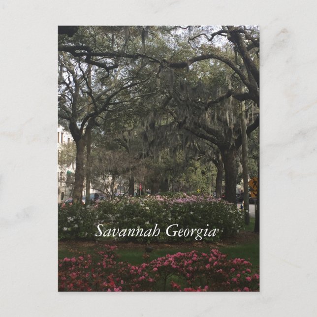 Carte Postale Centre-ville de Savannah Georgia (Devant)
