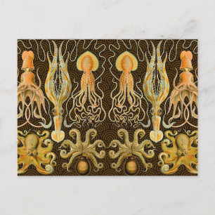 Carte Postale Cephalopod poulpe calmar Nature marine