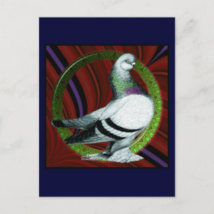 Carte Postale Cercle Berliner Pigeon