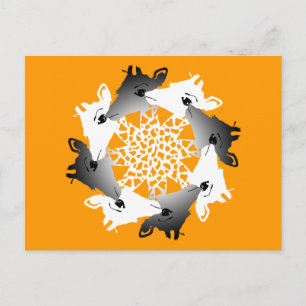 Carte Postale cercle de girafes