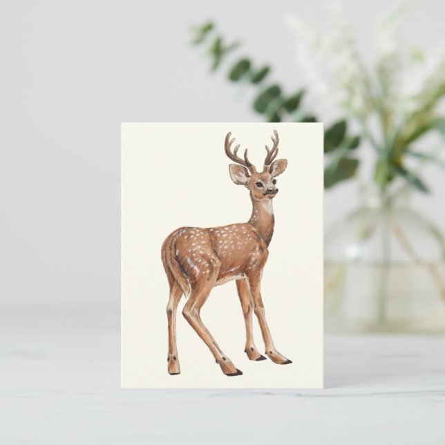 Carte Postale Cerf (Debout devant)