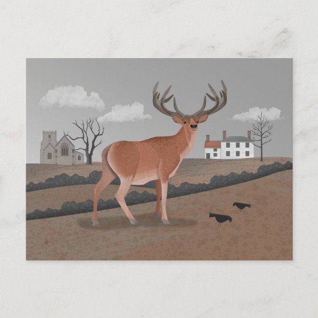 Carte Postale Cerf (Devant)