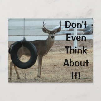 Carte postale Cerf avec attitude