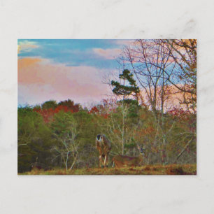 Carte Postale Cerf avec ciel bleu rose