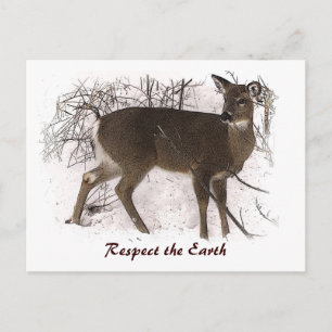 Carte Postale Cerf dans le Jour des terres de neige