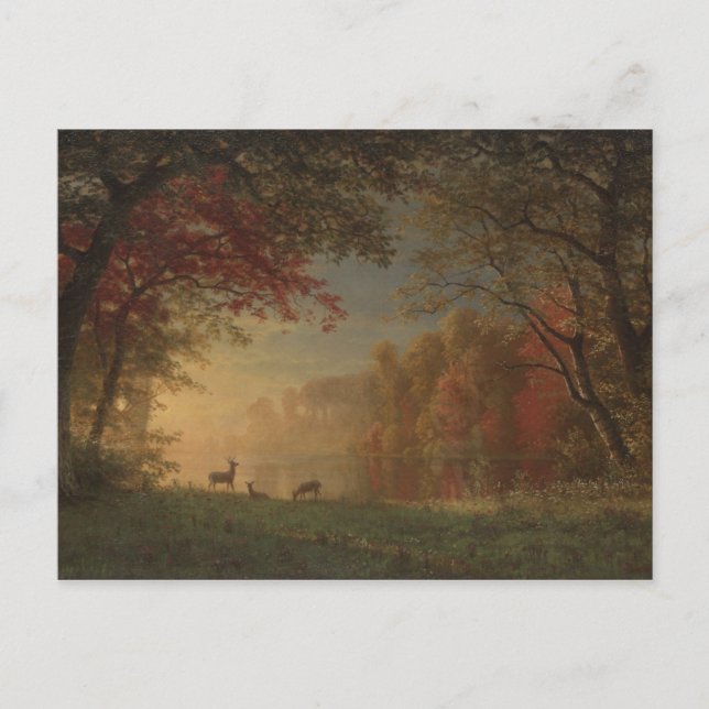 Carte Postale Cerf de couché de soleil indien au bord d'un lac (Devant)