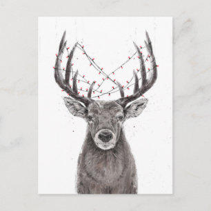 Carte Postale Cerf de Noël