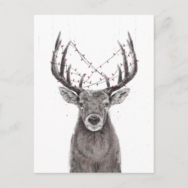 Carte Postale Cerf de Noël (Devant)