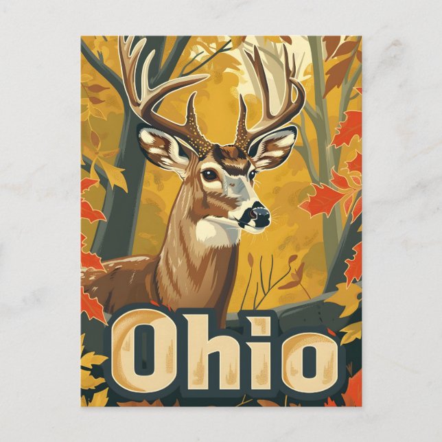 Carte Postale Cerf de Virginie de l'Ohio (Devant)