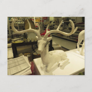 Carte Postale Cerf décoratif