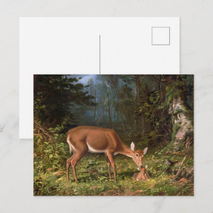 Carte Postale Cerf élégant et faon de la forêt, Art animalier vi