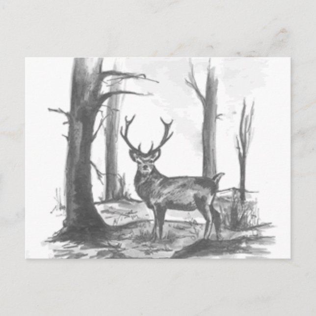 Carte Postale cerf en bois (Devant)