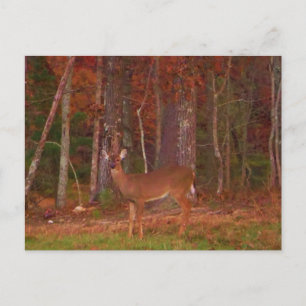 Carte Postale Cerf, Grass vert rouge et feuilles d'or