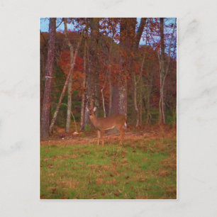 Carte Postale Cerf, Grass vert rouge et feuilles d'or