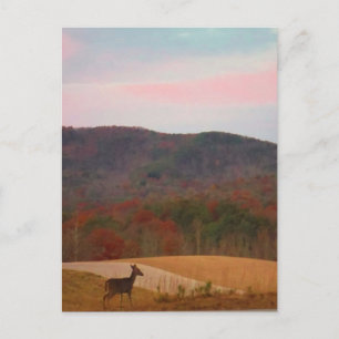 Carte Postale Cerf sur le golf au coucher du soleil