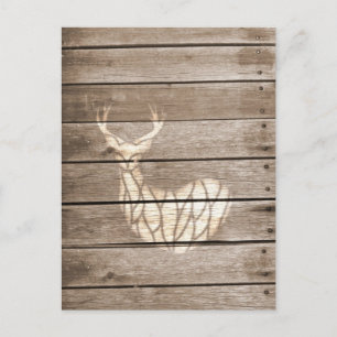 Carte Postale Cerf urbain