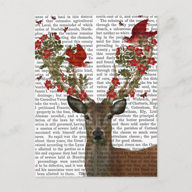 Carte Postale Cerfs communs et inséparables 2 (Devant)