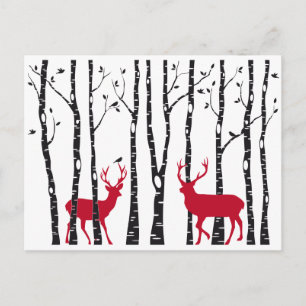 Carte Postale Cerfs rouges dans la forêt de bouleaux