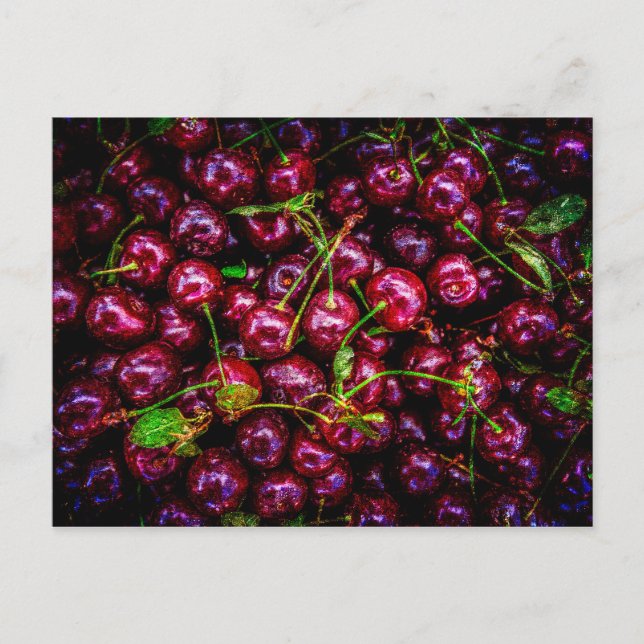 Carte Postale Cerises (Devant)