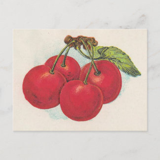 Carte Postale Cerises rouges