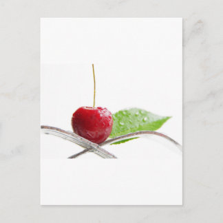 Carte Postale Cerises rouges fraîches Gourmet