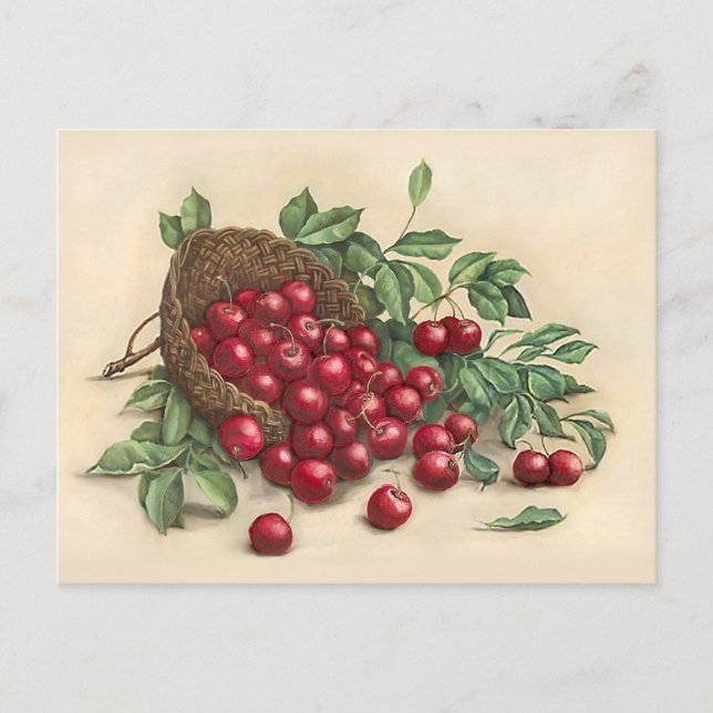 Carte Postale Cerises rouges sucrées (Devant)