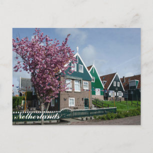 Carte Postale Cerisier en fleur à Marken, Pays-Bas