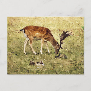 CARTE POSTALE CERVEAU