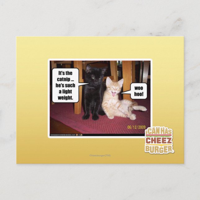 Carte Postale C'est le catnip (Devant)