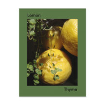C'est Lemon Thyme.