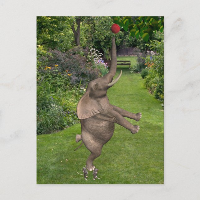 Carte Postale C'est pour ça que les amis sont (Devant)