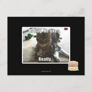 Carte Postale C'est serré. Il aime.