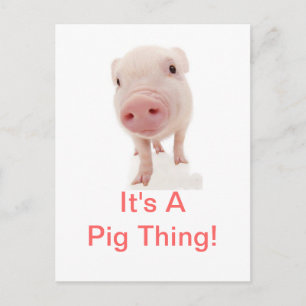 Carte Postale C'est un cochon