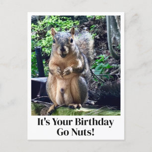 Carte Postale C'est votre anniversaire, devenez fou ! Blague drô