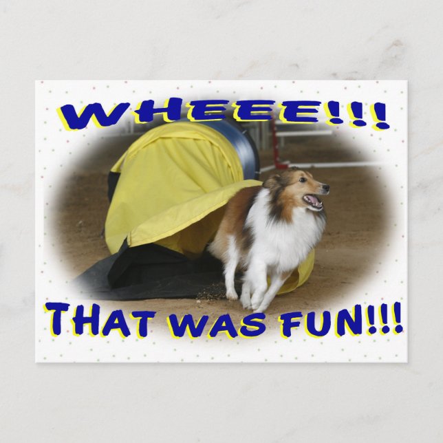 Carte Postale C'était amusement (Devant)