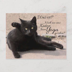 Carte Postale C'était ça ? ! ? Noch nie eine Katze beim Yoga ges
