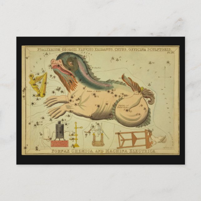 Carte Postale Cetus, Fornax Chemica, Machina Electrica, etc. (Devant)